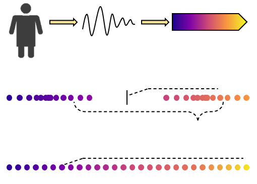Physiological state estimation visualization